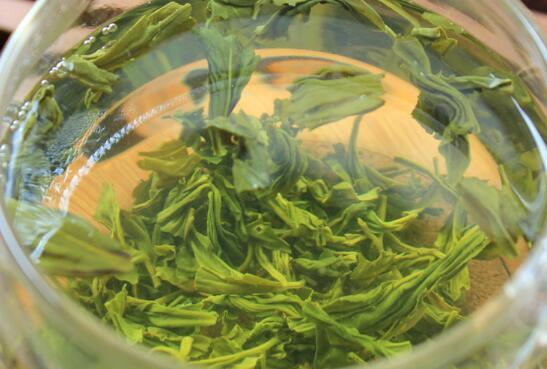 珍眉茶是什么茶 珍眉茶怎么泡