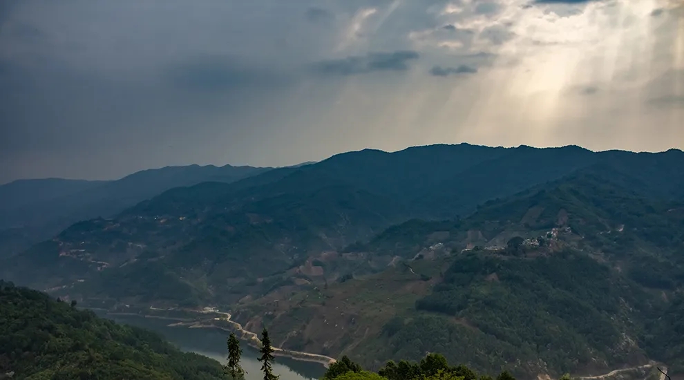 2021年磨烈：風頭正勁的后起之秀，到底有何特點？