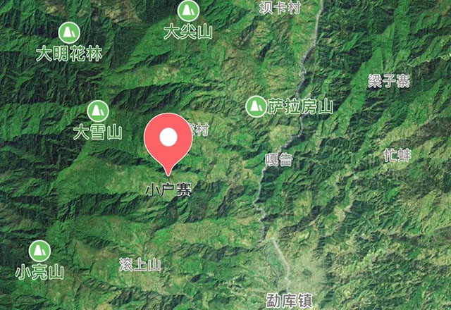 2021年小戶賽古樹秋茶有什么特點？