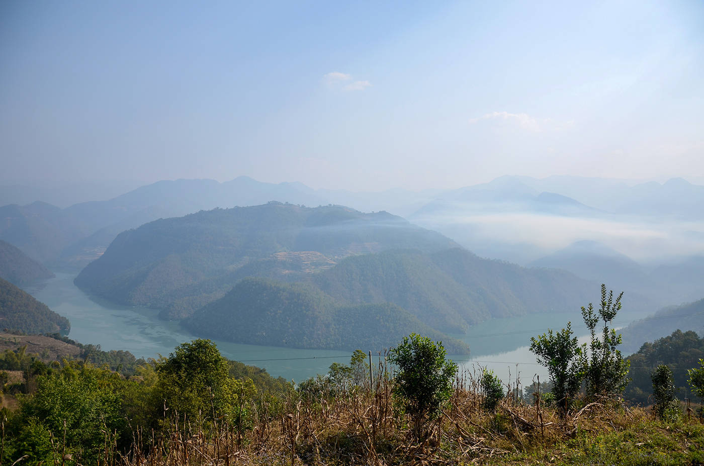 2021年白鶯山古樹秋茶，佛茶有什么魅力？