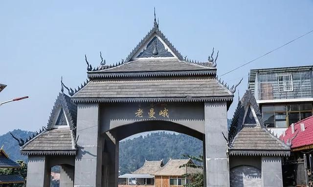 2021年老曼峨古樹秋茶特點(diǎn)？