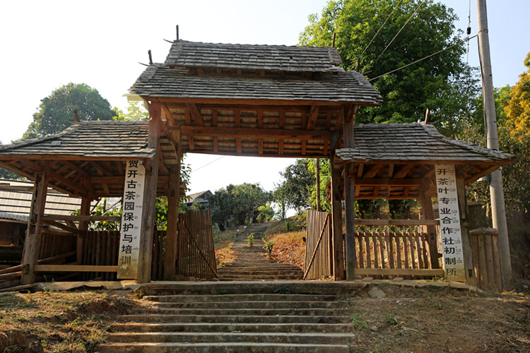 2021年賀開(kāi)古樹(shù)秋茶特點(diǎn)？