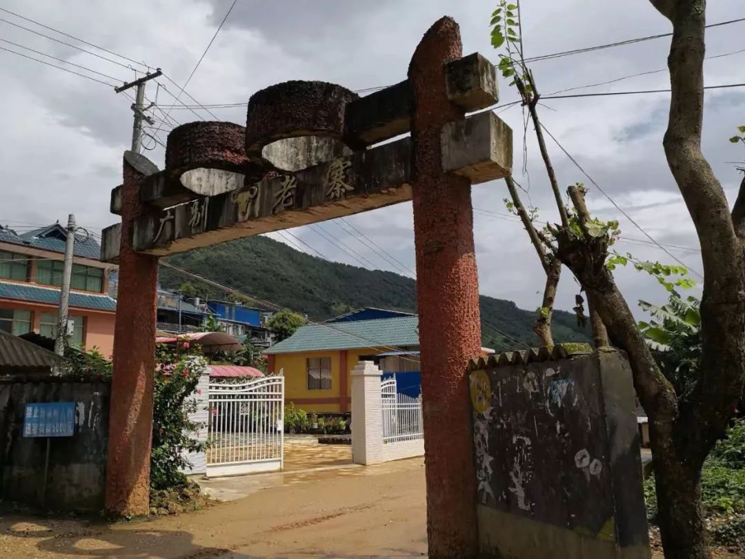 2021年廣別老寨古樹秋茶多少錢一公斤？