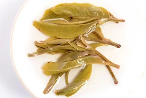 2021年南糯山拔瑪老寨古樹秋茶多少錢一公斤？