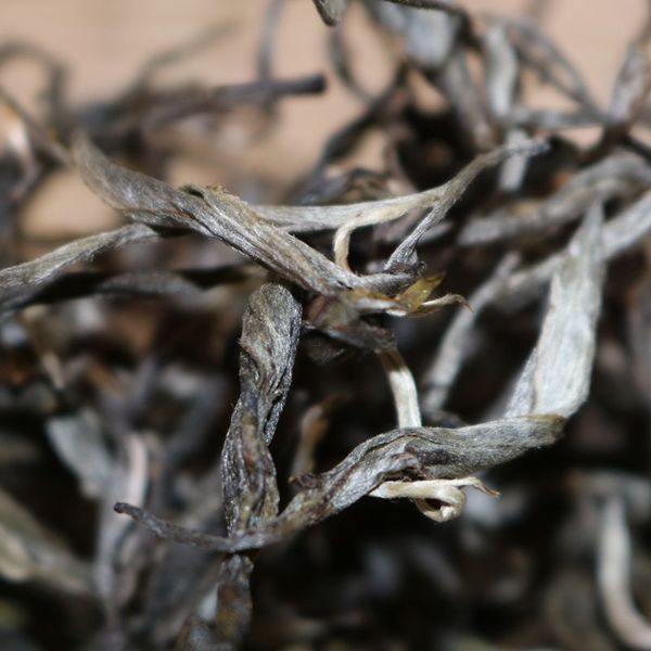 2021年帕沙古樹秋茶，你了解多少？