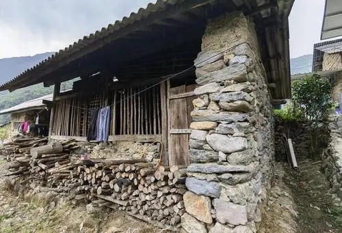 2022年景谷黃草壩古樹春茶特點(diǎn)是什么？