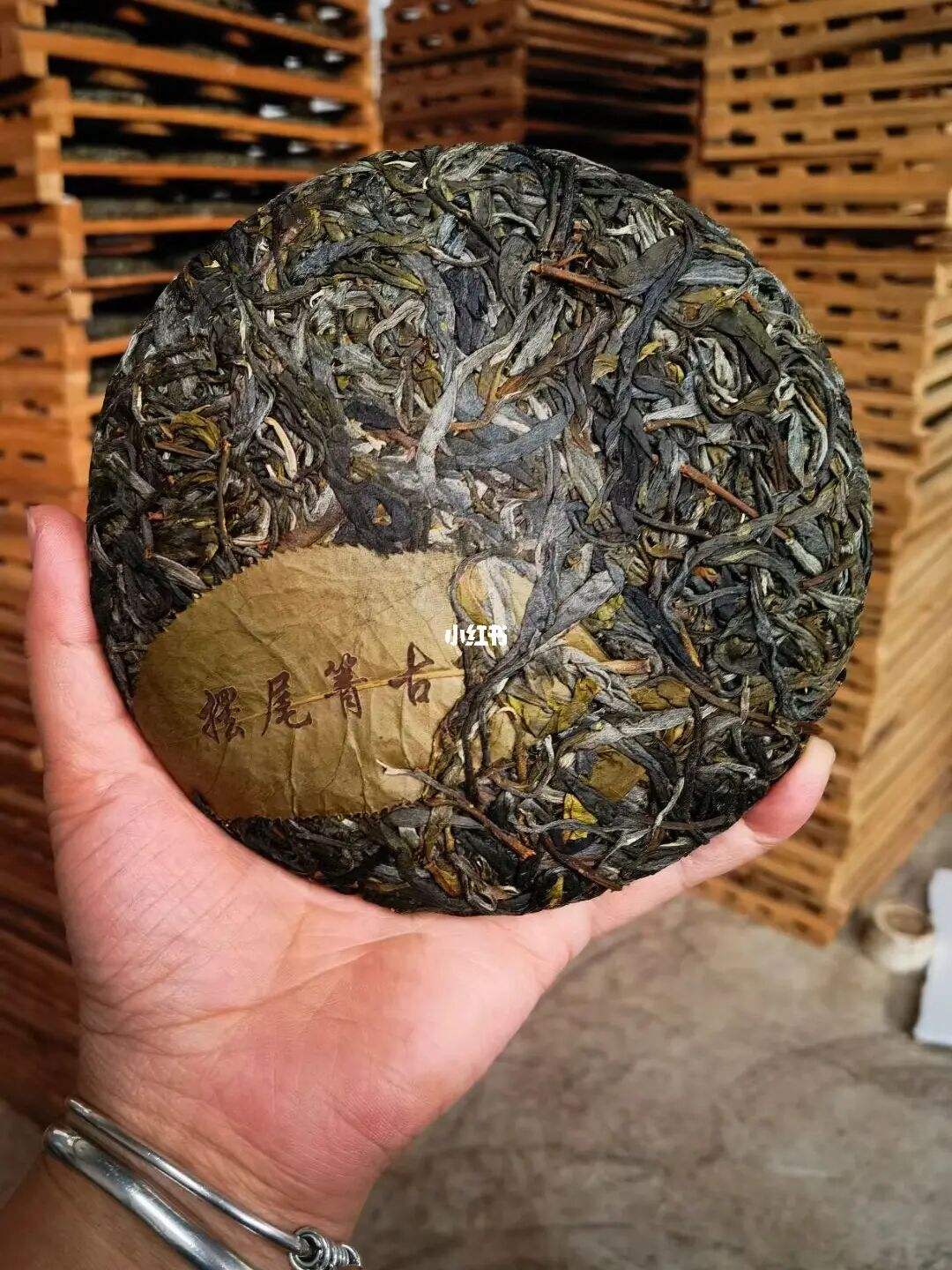 2022年寧洱 擺尾箐古樹春茶價(jià)格?