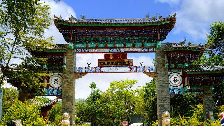 2022年易武正山在哪？易武正山是什么意思？