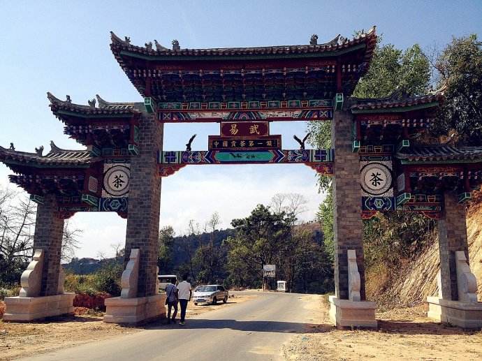 2022年易武正山古樹春茶價格？