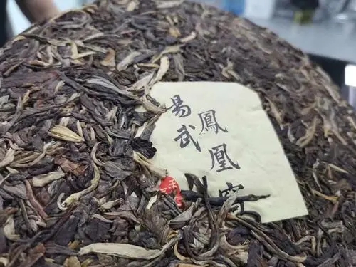 2022年鳳凰窩古樹高桿，鳳凰筑巢的地方