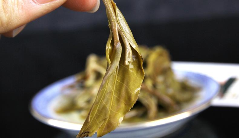 2022年冷水河古樹春茶價格？