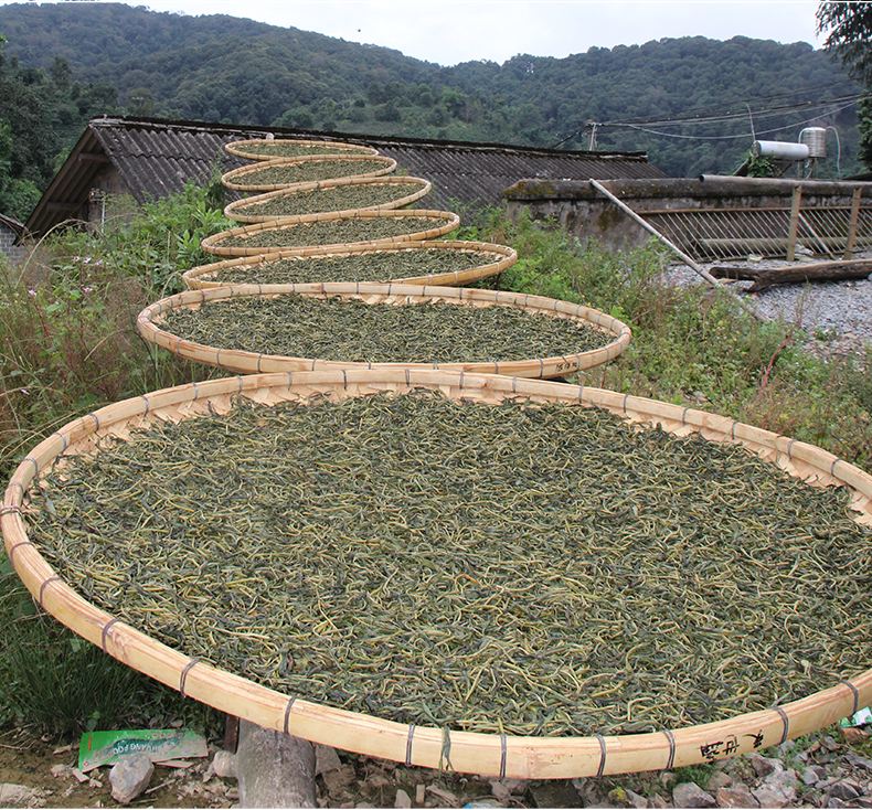 2022年白沙河古樹(shù)春茶價(jià)格？