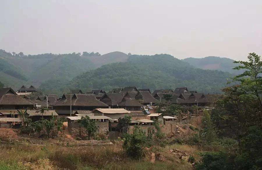 2022年革登古樹春茶特點(diǎn)？