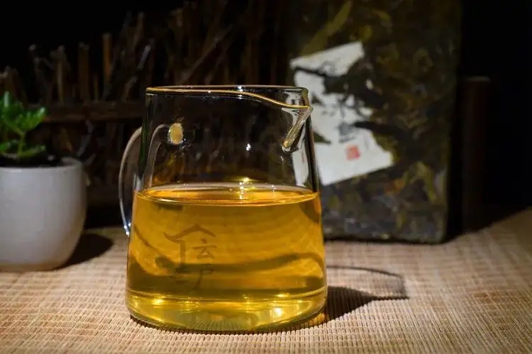 有茶油的普洱茶正常嗎？茶油是如何形成的？