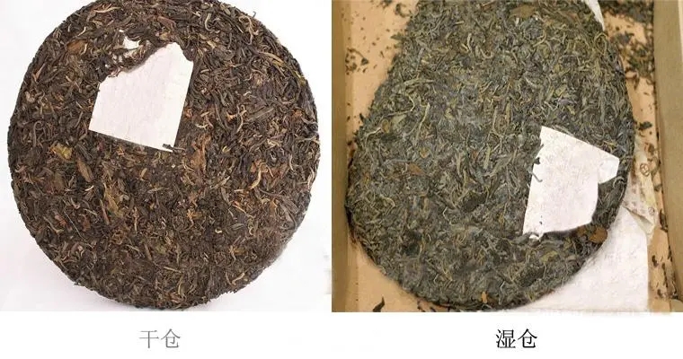 普洱茶怎么分辨干濕倉？