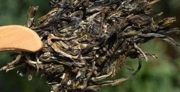 不同普洱茶生產(chǎn)地味道有哪些不同，不同派別的普洱茶味道又如何?