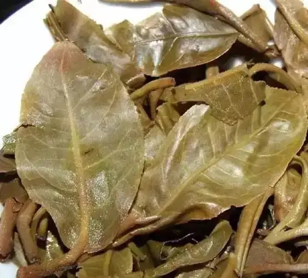 怎么看古樹普洱茶葉底？