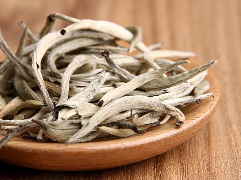 福鼎白茶、安吉白茶、云南月光白“三白”的區(qū)別