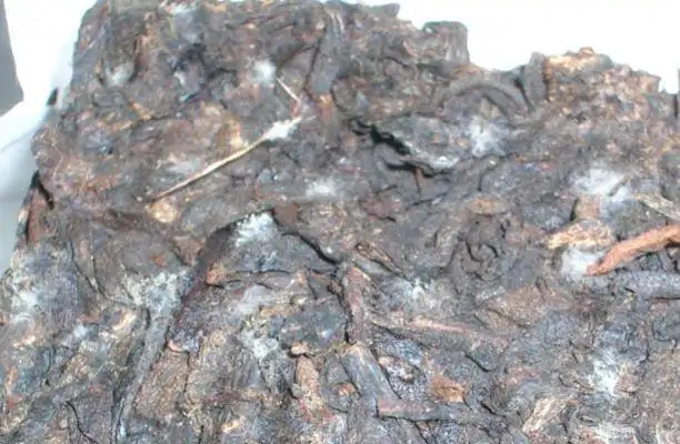 ?普洱茶發(fā)霉了怎么辦？教你妙招應(yīng)對(duì)發(fā)霉的普洱茶！