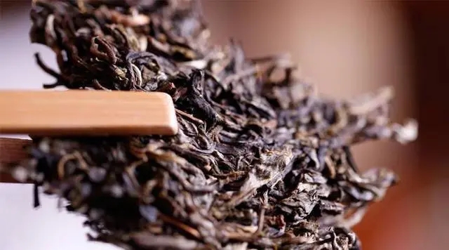 普洱生茶好還是普洱熟茶好喝？如何挑選適合自己的普洱茶？