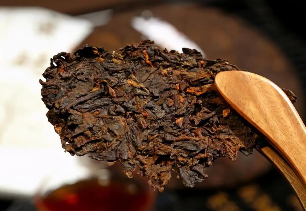 普洱茶生津、回甘、滋味、口感是怎么回事？丨實(shí)用