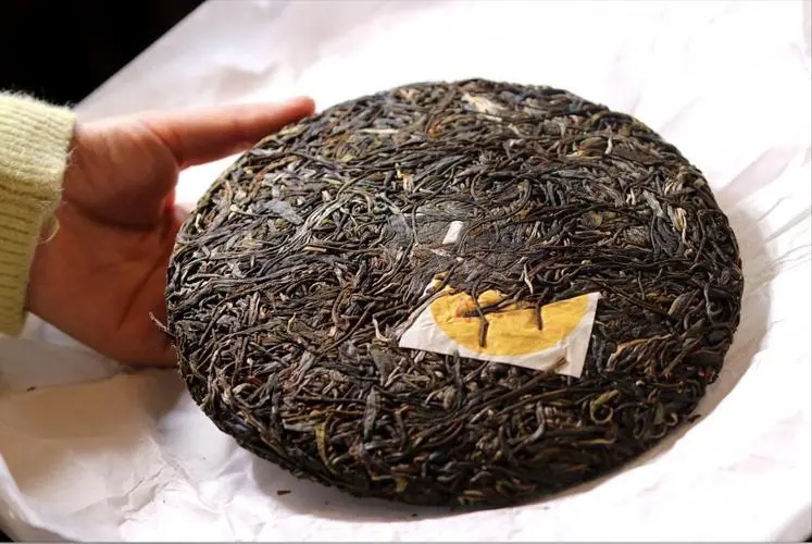 犀牛塘 | 古韻留香，帕沙之王