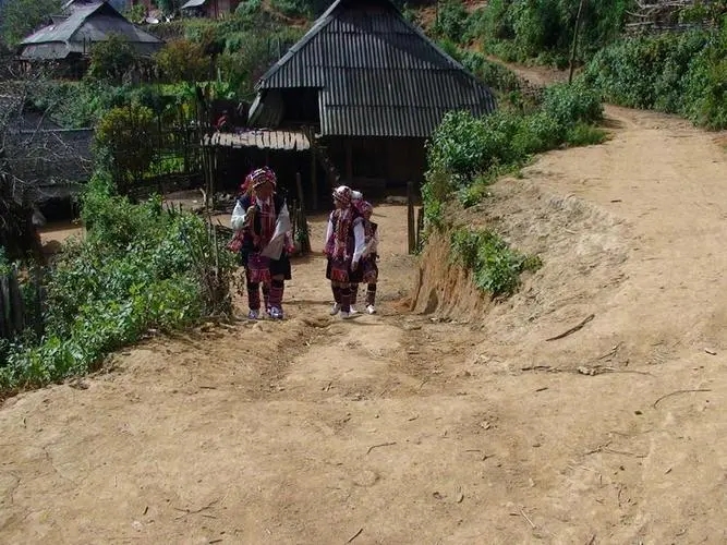 2022年的春天，古樹味道從犀牛塘開始！