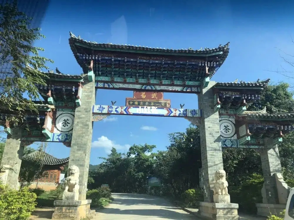 古樹茶年份越老，茶葉就越好嗎？影響茶葉品質(zhì)的因素有哪些？