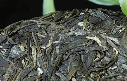 喝普洱茶，一定要喝老茶嗎？