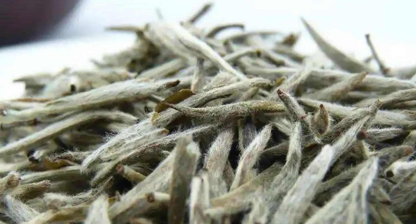 茶毫越多的茶，品質(zhì)就越高嗎？