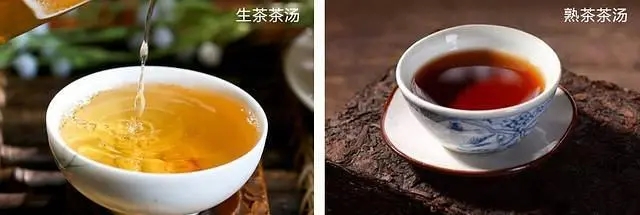 告訴你普洱生茶性寒還是性溫!