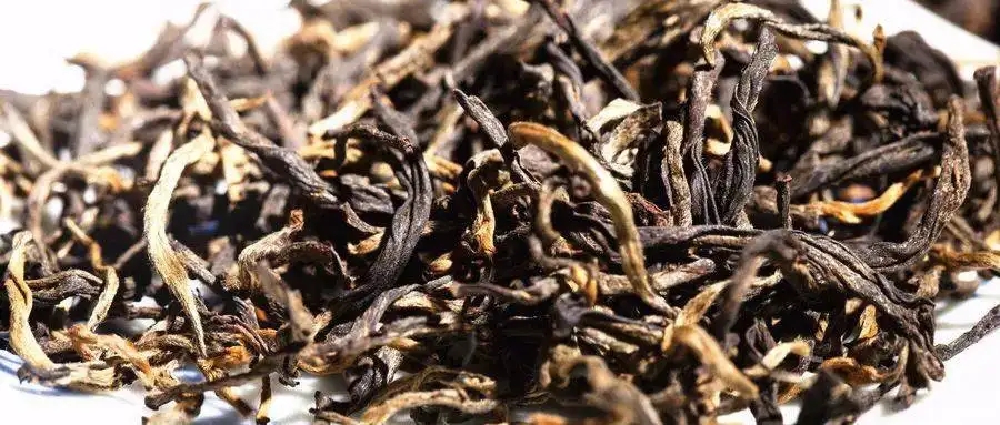 什么是茶氣？茶氣強勁又是一種怎樣的體驗？