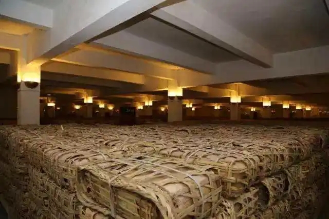 云南古樹普洱茶好在哪？相比小樹茶、臺(tái)地茶有何不同？