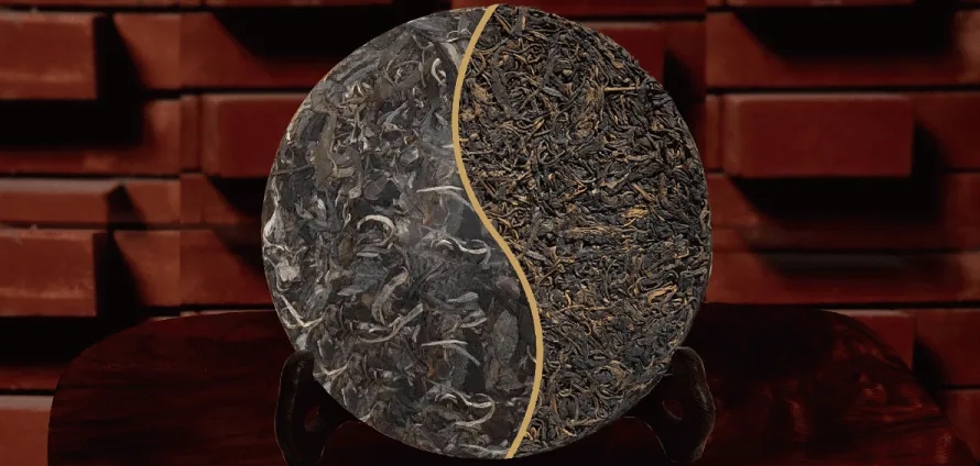 一入普門深似海？入普洱門前，你需要了解這些