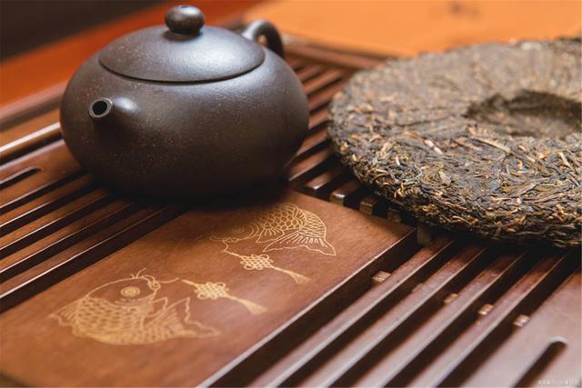 為什么你買不到好的古樹普洱茶？買茶防坑指南，看完就有收獲！