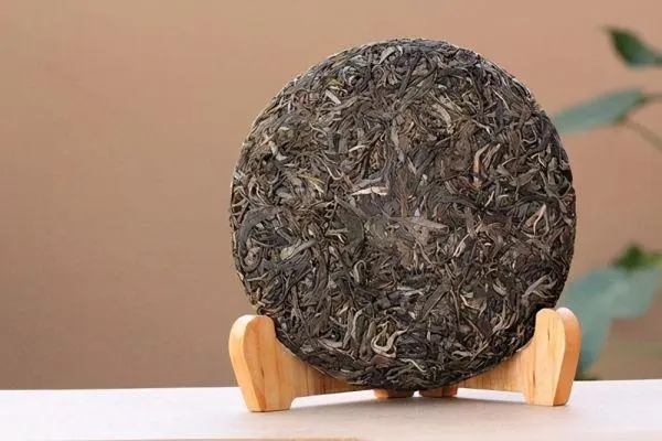 普洱茶入門首要問題，弄清楚，才能喝好茶