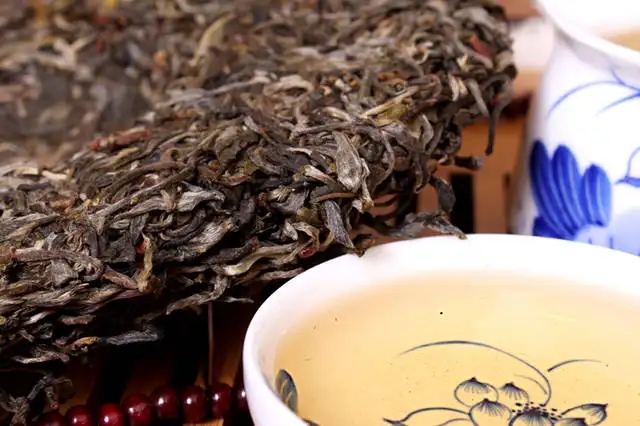 喝普洱茶，生茶和熟茶哪個更適合你？