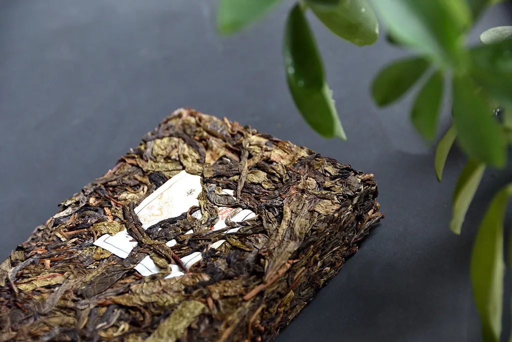 普洱茶古樹黃片，性價比超高的口糧茶，有骨有肉香甜順