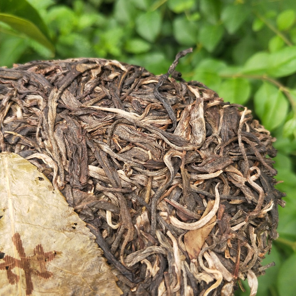 2023年班盆古樹春茶多少錢一公斤？