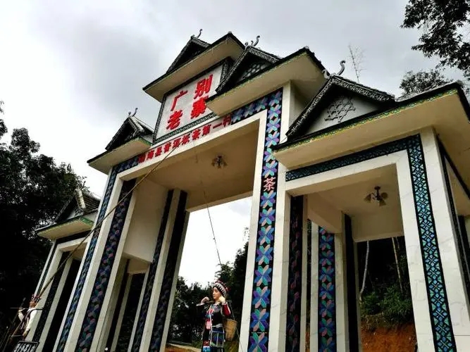 2023年廣別老寨古樹春茶品質(zhì)如何？