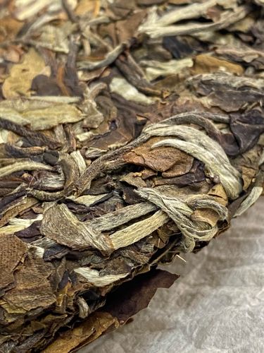 2023年拔瑪老寨古樹春茶特點(diǎn)是什么？