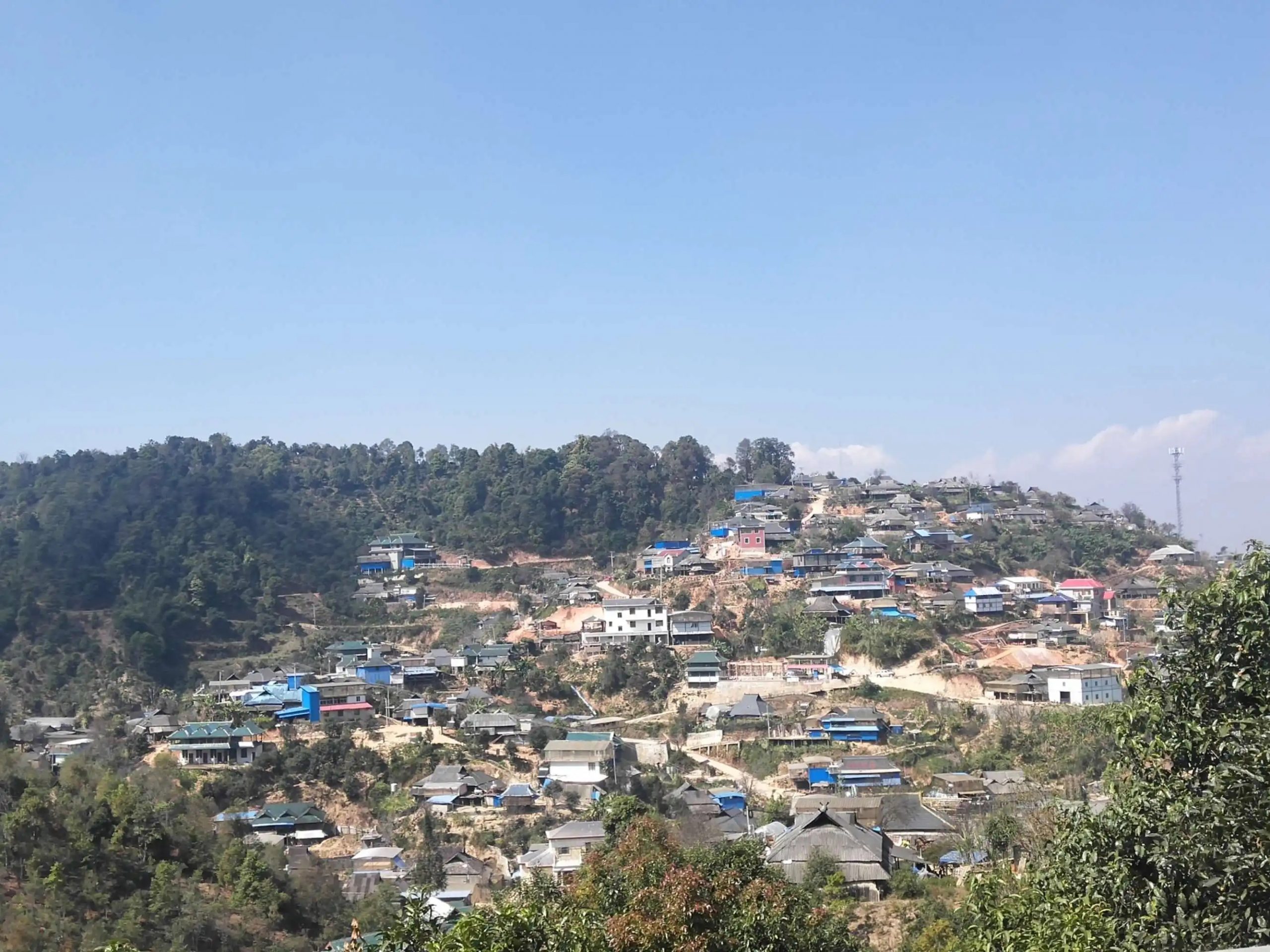 2023年帕沙古樹春茶品質(zhì)如何？