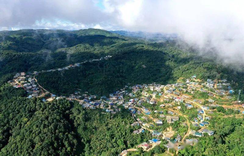 2023年帕沙古樹春茶口感怎么樣？