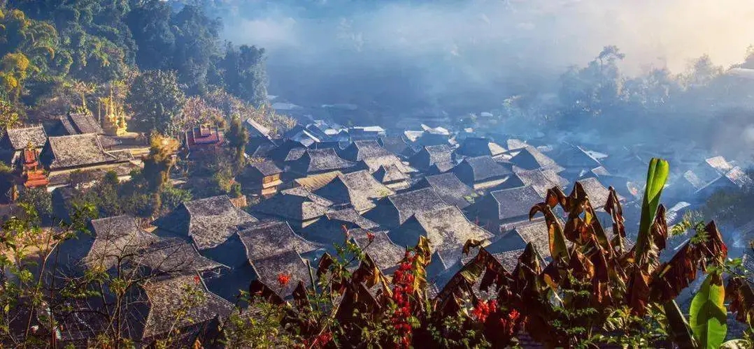 2023年景邁古樹春茶品質如何？