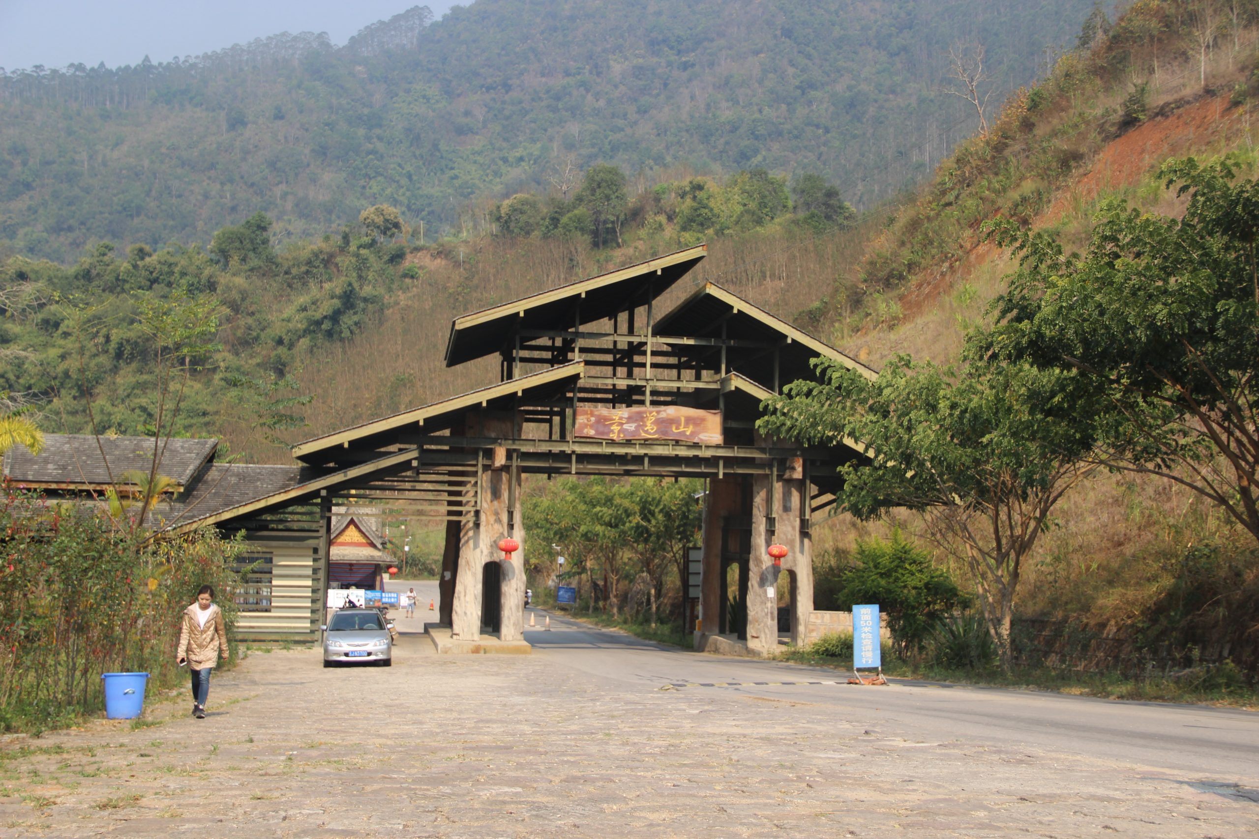 2023年景邁古樹春茶口感如何？