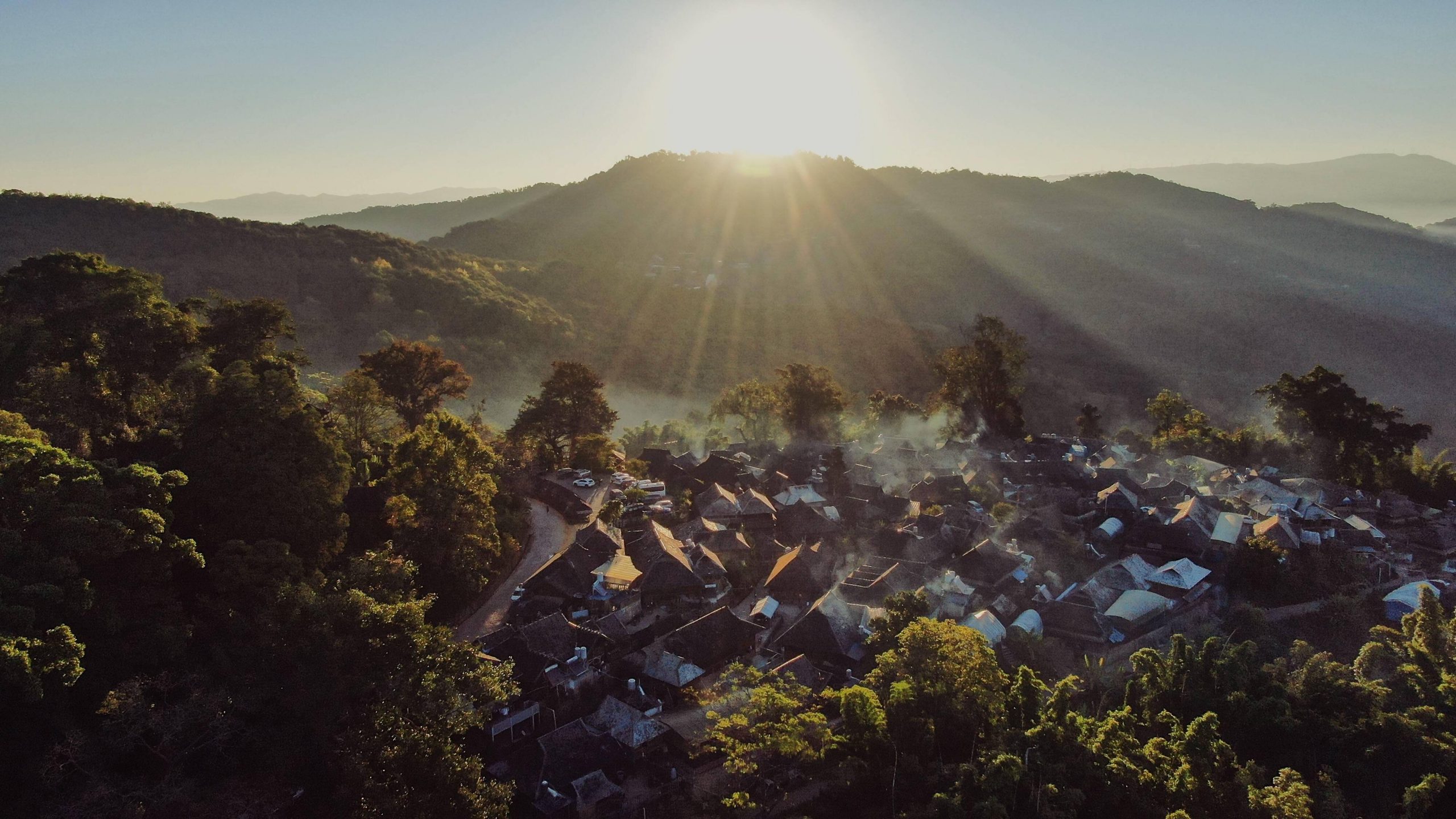 2023年景邁古樹春茶多少錢一公斤？