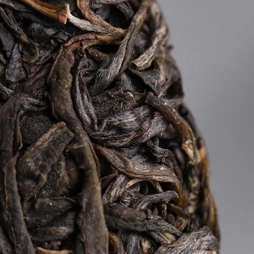 2023年迷帝古樹春茶價格是多少？