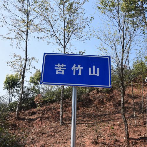 2023年苦竹山古樹春茶品質如何？