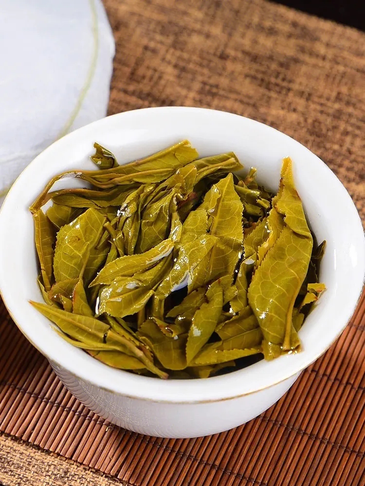 2023白鶯山古樹春茶特點是什么？