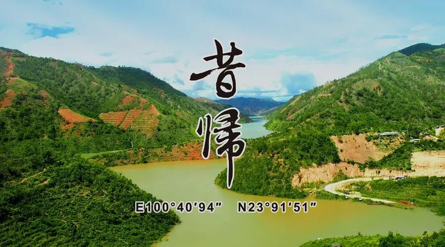 2023年昔歸古樹(shù)春茶品質(zhì)如何？